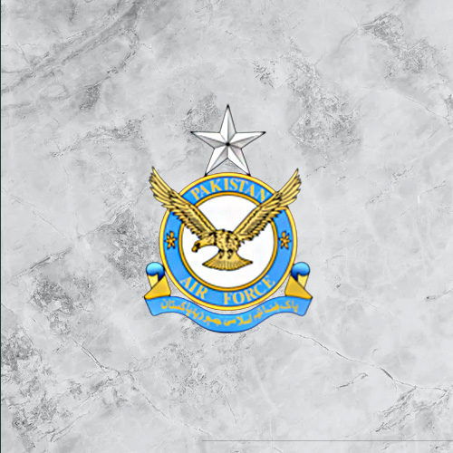 Pakistan Air Force client logo